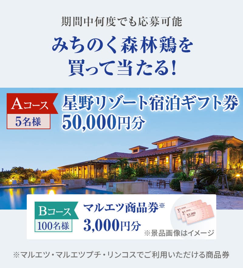 期間中何度でも応募可能 みちのく森林鶏を買って当たる！︎ Aコース 5名様 星野リゾート宿泊ギフト券50,000円分 Bコース 100名様 マルエツ商品券※3,000円分 ※マルエツ・マルエツプチ・リンコスでご利用いただける商品券