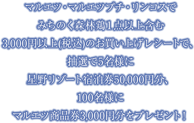 マルエツ・マルエツプチ・リンコスでみちのく森林鶏1点以上含む3,000円以上（税込）のお買い上げレシートで、抽選で5名様に星野リゾート宿泊券50,000円分、100名様にマルエツ商品券3,000円分をプレゼント！